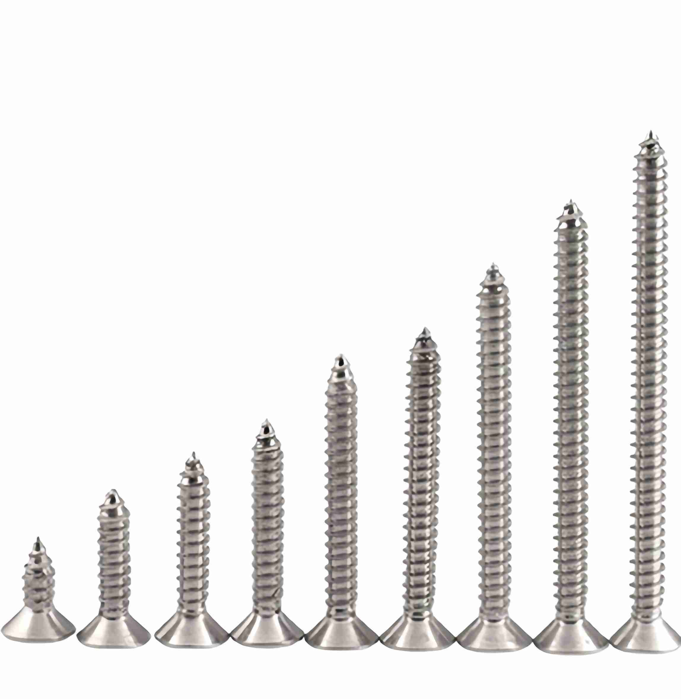 SS304 mini word screw