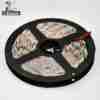 12V 5050 Low Voltage LED Strip Light