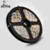 12V 5050 Low Voltage LED Strip Light