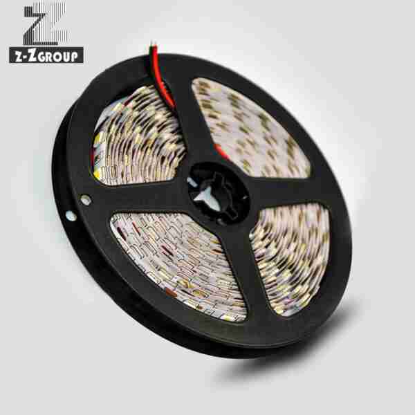 12V 5050 Low Voltage LED Strip Light