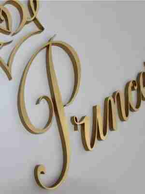 acrylic-logo-sign16248215931.jpg Custom Acrylic Logo Sign