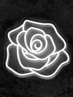 white-neon-sign59215424573-1.jpg White Neon Sign